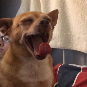 Meet your Posher, Liliana